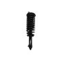 FCS Struts 1335899R Suspension Strut and Coil Spring Assembly
