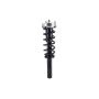 FCS Struts 1335906 Suspension Strut and Coil Spring Assembly