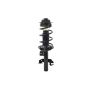 FCS Struts 1335908L Suspension Strut and Coil Spring Assembly