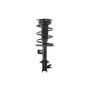 FCS Struts 1335924R Suspension Strut and Coil Spring Assembly