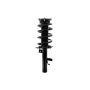 FCS Struts 1335958R Suspension Strut and Coil Spring Assembly