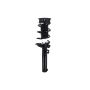 FCS Struts 1335970 Suspension Strut and Coil Spring Assembly
