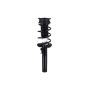 FCS Struts 1335970 Suspension Strut and Coil Spring Assembly