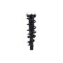 FCS Struts 1335980L Suspension Strut and Coil Spring Assembly