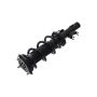 FCS Struts 1335980L Suspension Strut and Coil Spring Assembly