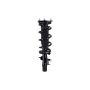 FCS Struts 1335980R Suspension Strut and Coil Spring Assembly