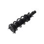 FCS Struts 1335980R Suspension Strut and Coil Spring Assembly