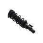 FCS Struts 1335980R Suspension Strut and Coil Spring Assembly