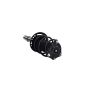 FCS Struts 1335981L Suspension Strut and Coil Spring Assembly