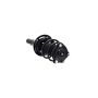 FCS Struts 1335981R Suspension Strut and Coil Spring Assembly