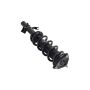 FCS Struts 1335989L Suspension Strut and Coil Spring Assembly