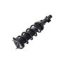 FCS Struts 1335989R Suspension Strut and Coil Spring Assembly