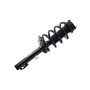 FCS Struts 1335991 Suspension Strut and Coil Spring Assembly