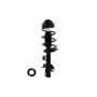 FCS Struts 1335992L Suspension Strut and Coil Spring Assembly