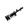 FCS Struts 1336303 Suspension Strut and Coil Spring Assembly