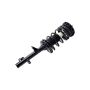FCS Struts 1336303 Suspension Strut and Coil Spring Assembly