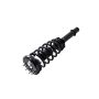 FCS Struts 1336305R Suspension Strut and Coil Spring Assembly