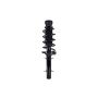 FCS Struts 1336306 Suspension Strut and Coil Spring Assembly