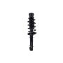 FCS Struts 1336306 Suspension Strut and Coil Spring Assembly