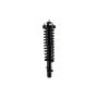 FCS Struts 1336310 Suspension Strut and Coil Spring Assembly