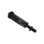 FCS Struts 1336310 Suspension Strut and Coil Spring Assembly