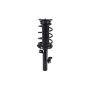 FCS Struts 1336311L Suspension Strut and Coil Spring Assembly