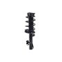 FCS Struts 1336311R Suspension Strut and Coil Spring Assembly