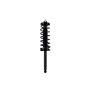 FCS Struts 1336312 Suspension Strut and Coil Spring Assembly