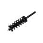 FCS Struts 1336312 Suspension Strut and Coil Spring Assembly