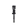 FCS Struts 1336313 Suspension Strut and Coil Spring Assembly