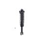 FCS Struts 1336315 Suspension Strut and Coil Spring Assembly