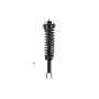 FCS Struts 1336315 Suspension Strut and Coil Spring Assembly