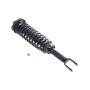 FCS Struts 1336315 Suspension Strut and Coil Spring Assembly