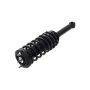 FCS Struts 1336316 Suspension Strut and Coil Spring Assembly