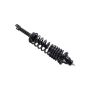 FCS Struts 1336317L Suspension Strut and Coil Spring Assembly