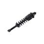 FCS Struts 1336317L Suspension Strut and Coil Spring Assembly