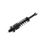 FCS Struts 1336317R Suspension Strut and Coil Spring Assembly