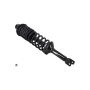 FCS Struts 1336319L Suspension Strut and Coil Spring Assembly