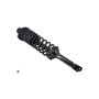 FCS Struts 1336319R Suspension Strut and Coil Spring Assembly