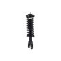 FCS Struts 1336320L Suspension Strut and Coil Spring Assembly