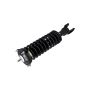 FCS Struts 1336320L Suspension Strut and Coil Spring Assembly