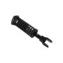 FCS Struts 1336320L Suspension Strut and Coil Spring Assembly