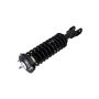 FCS Struts 1336320R Suspension Strut and Coil Spring Assembly