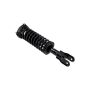 FCS Struts 1336320R Suspension Strut and Coil Spring Assembly