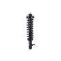 FCS Struts 1336322L Suspension Strut and Coil Spring Assembly