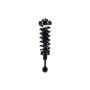 FCS Struts 1336326 Suspension Strut and Coil Spring Assembly