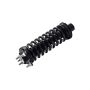 FCS Struts 1336329R Suspension Strut and Coil Spring Assembly