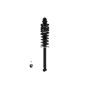FCS Struts 1336335 Suspension Strut and Coil Spring Assembly