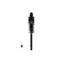 FCS Struts 1336335 Suspension Strut and Coil Spring Assembly