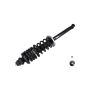 FCS Struts 1336335 Suspension Strut and Coil Spring Assembly